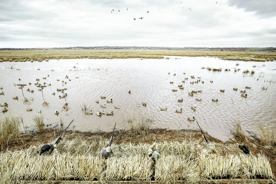 hunters in a duck blind