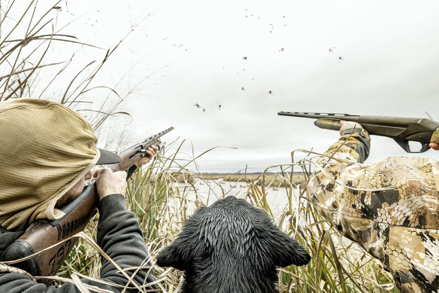 two duck hunters with dog